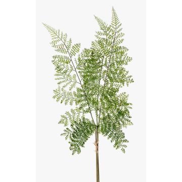 Artificial shield fern branch HALIMA, green, 24"/60cm