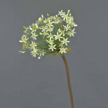 Fake flower Allium BRAIS, white, 3ft/90cm