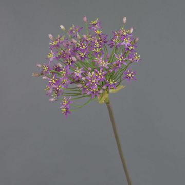 Fake flower Allium BRAIS, violet, 3ft/90cm