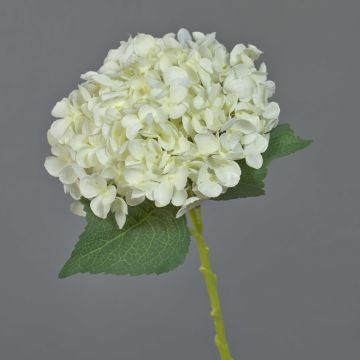 Artificial hydrangea flower EGIA, cream, 20"/50cm