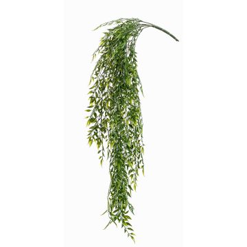 Decorative bamboo plant HIKARU spike, crossdoor, 31"/80cm