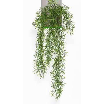 Decorative cactus Rhipsalis PUEBLA, spike, green, 30"/75cm