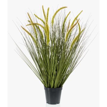 Decorative Foxtail grass CAREL with panicles, green, 28"/70cm