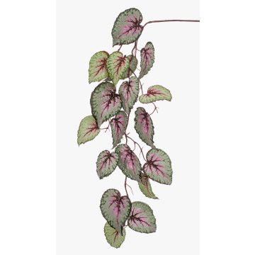 Decorative begonia rex branch MEIRA, green-pink, 4ft/110cm