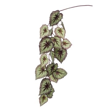 Decorative begonia rex branch MEIRA, green-violet, 4ft/110cm Decorative begonia rex branch MEIRA, green-violet, 4ft/110cm