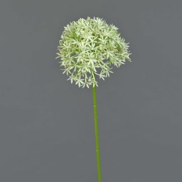 Artificial Allium flower ARNAU, cream-green, 24"/60cm