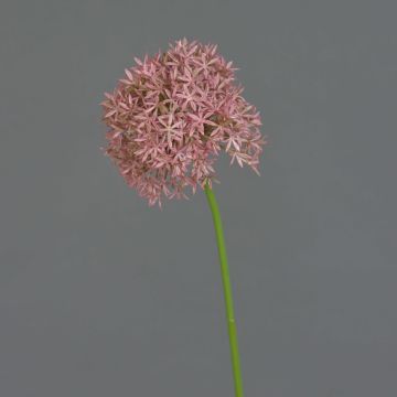 Artificial Allium flower ARNAU, pink, 24"/60cm