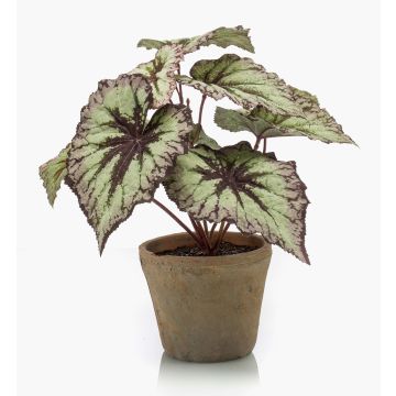 Artificial plant: MEIRA leaf begonia in a terracotta pot, green-violet, 10"/25cm Artificial plant: MEIRA leaf begonia in a terracotta pot, green-violet, 10"/25cm