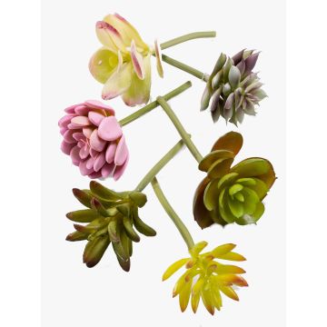 Plastic succulents JADON, spike, 6 pieces, colourful, 5"/13cm, Ø 2"/5cm
