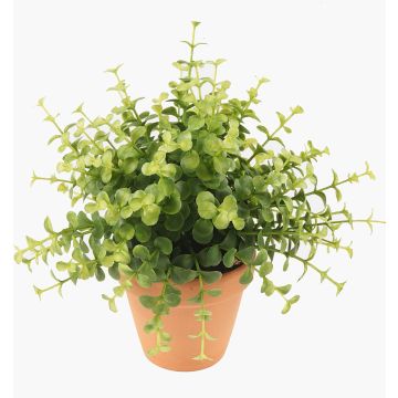 Artificial herbs: Eucalyptus JOSHUA in a terracotta pot, green, 20cm, Ø17cm