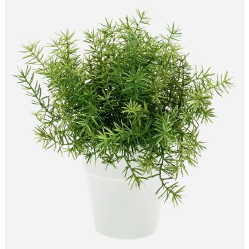 Artificial herbs: Asparagus sprengeri ‘JOSHUA’ in a ceramic pot, 20 cm, Ø 17 cm