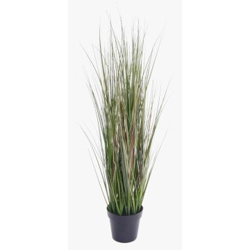 Artificial foxtail grass SAMMI, green, 26"/65cm