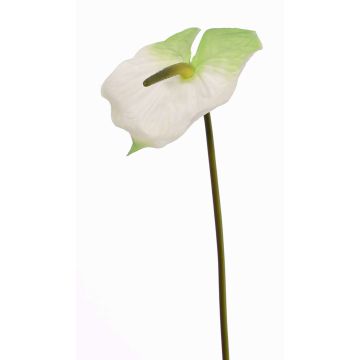 Artificial flamingo flower MOIRA, white and green, 75cm, 13x18cm