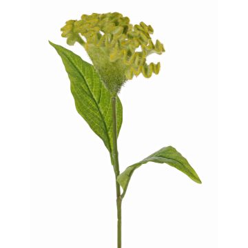 Artificial flower, cockscomb ANUBIS, green-yellow, 60cm, Ø14cm Artificial flower, cockscomb ANUBIS, green-yellow, 60cm, Ø14cm
