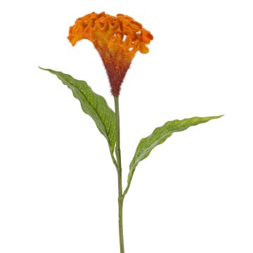 Artificial flower: Cockscomb ANUBIS, orange, 60 cm, Ø 14 cm Artificial flower: Cockscomb ANUBIS, orange, 60 cm, Ø 14 cm