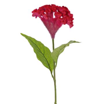 Artificial flower, cockscomb ANUBIS, violet-red, 60 cm, Ø 14 cm Artificial flower, cockscomb ANUBIS, violet-red, 60 cm, Ø 14 cm