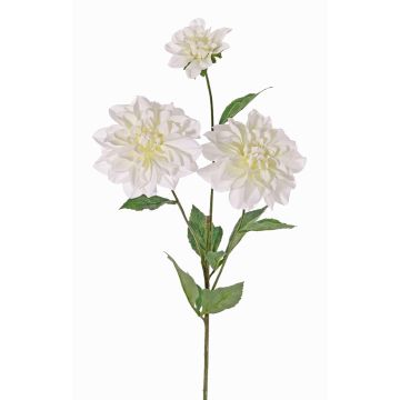Decorative Dahlia ANJULIKA, white, 75cm, Ø6–12cm Decorative Dahlia ANJULIKA, white, 75cm, Ø6–12cm