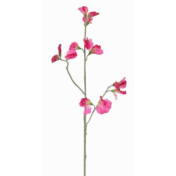 Decorative flower Lathyrus ASFALOTH, hot pink, 65 cm, Ø 3–5 cm Decorative flower Lathyrus ASFALOTH, hot pink, 65 cm, Ø 3–5 cm