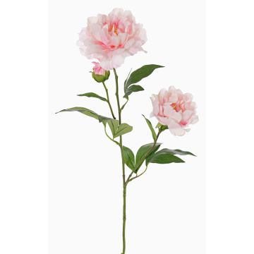 Artificial peony ONYX, cream-pink, 75 cm, Ø 10–13 cm