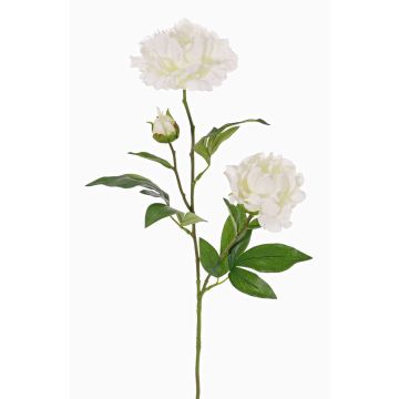 Artificial peony ONYX, cream-white, 75 cm, Ø 10–13 cm Artificial peony ONYX, cream-white, 75 cm, Ø 10–13 cm