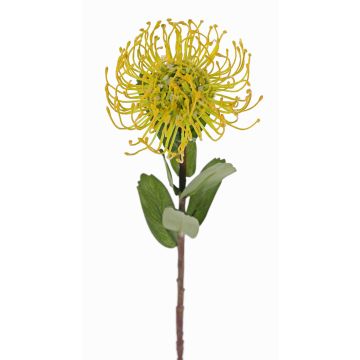 Artificial protea pin cushion BAILY, yellow-green, 55cm, Ø10cm Artificial protea pin cushion BAILY, yellow-green, 55cm, Ø10cm