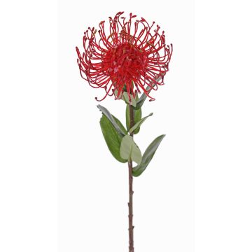 Artificial pincushion Protea BAILY, red, 55cm, Ø10cm Artificial pincushion Protea BAILY, red, 55cm, Ø10cm
