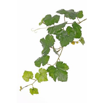 Artificial grapevine branch BJON, crossdoor, green, 60cm Artificial grapevine branch BJON, crossdoor, green, 60cm