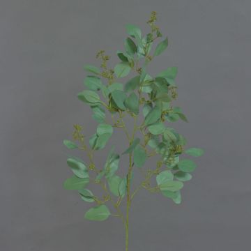 Decorative eucalyptus branch COBAR, flowering, crossdoor, green, 65cm, Ø1.5cm