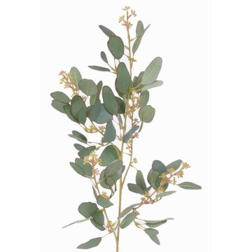 Decorative eucalyptus branch COBAR, flowering, crossdoor, green, 26"/65cm, Ø0.6"/1.5cm Decorative eucalyptus branch COBAR, flowering, crossdoor, green, 26"/65cm, Ø0.6"/1.5cm