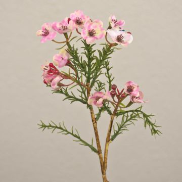 Artificial wax flower AISHA, pink, 27cm, Ø1–1.5cm Artificial wax flower AISHA, pink, 27cm, Ø1–1.5cm