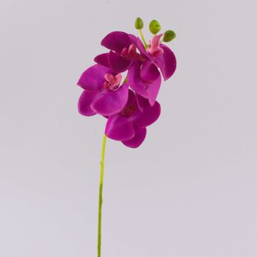 OPHELIA Phalaenopsis orchid decorative branch, pink, 40 cm, Ø7–8 cm