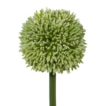 Artificial flower Allium MENKES, green, 26"/65cm Artificial flower Allium MENKES, green, 26"/65cm