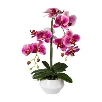 Artificial Phalaenopsis orchid KASDA, ceramic pot, roots, fuchsia, 20"/50cm