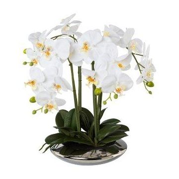 False Phalaenopsis orchid MANULO, silvery ceramic bowl, roots, white, 16"/40cm