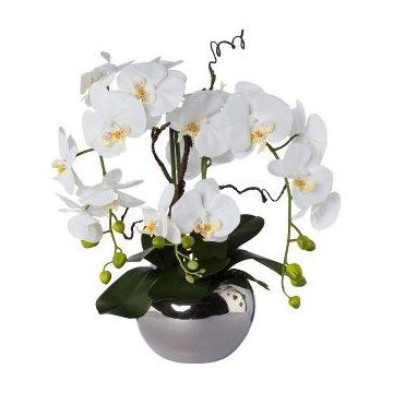 Artificial orchid and corkscrew willow arrangement LULUDI, silver ceramic pot, roots, white, 22"/55cm Artificial orchid and corkscrew willow arrangement LULUDI, silver ceramic pot, roots, white, 22"/55cm