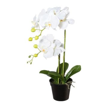 Artificial Phalaenopsis orchid WENJAN, decorative pot, roots, white, 22"/55cm