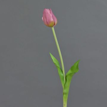 Artificial tulip LONA, lilac-green, 45cm, Ø4cm Artificial tulip LONA, lilac-green, 45cm, Ø4cm