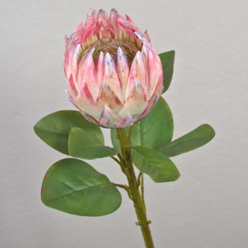Artificial flowering branch King protea TANIEKA, pink-white, 26"/65cm