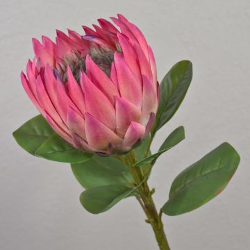 Artificial flowering branch King protea TANIEKA, pink-green, 26"/65cm