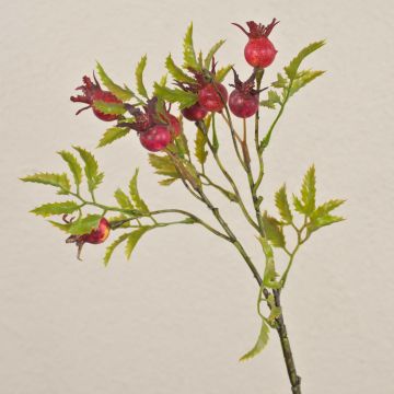 Artificial dog rose branch VIVEKA with rose hips, red, 20"/50cm Artificial dog rose branch VIVEKA with rose hips, red, 20"/50cm