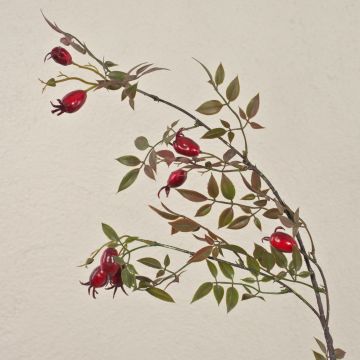 Fake dog rose branch VARDALIA with rose hips, red, 3ft/95cm Fake dog rose branch VARDALIA with rose hips, red, 3ft/95cm