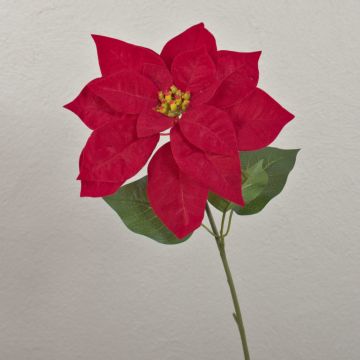 False poinsettia LIBASSE, red, 20"/50cm