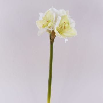Artificial flower Amaryllis MARKUNO, cream-white, 24"/60cm Artificial flower Amaryllis MARKUNO, cream-white, 24"/60cm