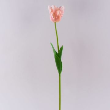 Synthetic flower Parrot tulip PETSCHORA, apricot-pink, 26"/65cm Synthetic flower Parrot tulip PETSCHORA, apricot-pink, 26"/65cm