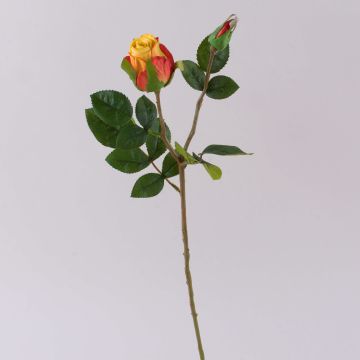 Velvet Rose RENESMEE, yellow-red, 45cm, Ø6cm Velvet Rose RENESMEE, yellow-red, 45cm, Ø6cm