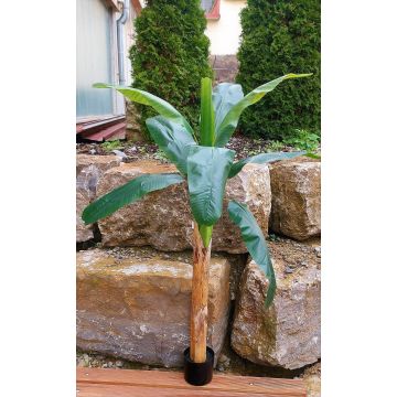 Plastic banana tree SHARA, 5ft/150cm Plastic banana tree SHARA, 5ft/150cm