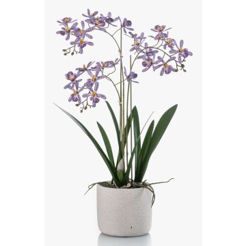 Decorative Renanthera orchid BLANI in ceramic pot, roots, violet-white-yellow, 22"/55cm