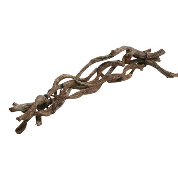 Bunch of grapevine branches VINO, 5 pieces, brown, 24"/60cm, Ø0.8"/2cm