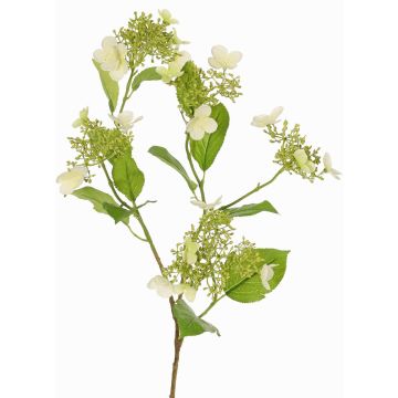 Artificial hydrangea branch KATHANI, white-green, 80 cm, Ø 10–13 cm Artificial hydrangea branch KATHANI, white-green, 80 cm, Ø 10–13 cm