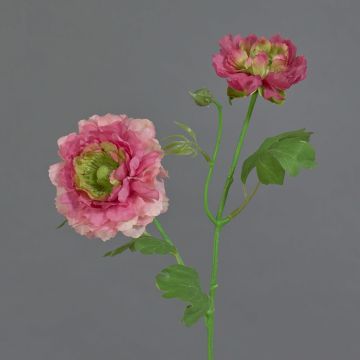 Artificial ranunculus SAGARA, pink-pink-green, 45cm, Ø5–9cm